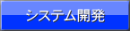 システム開発